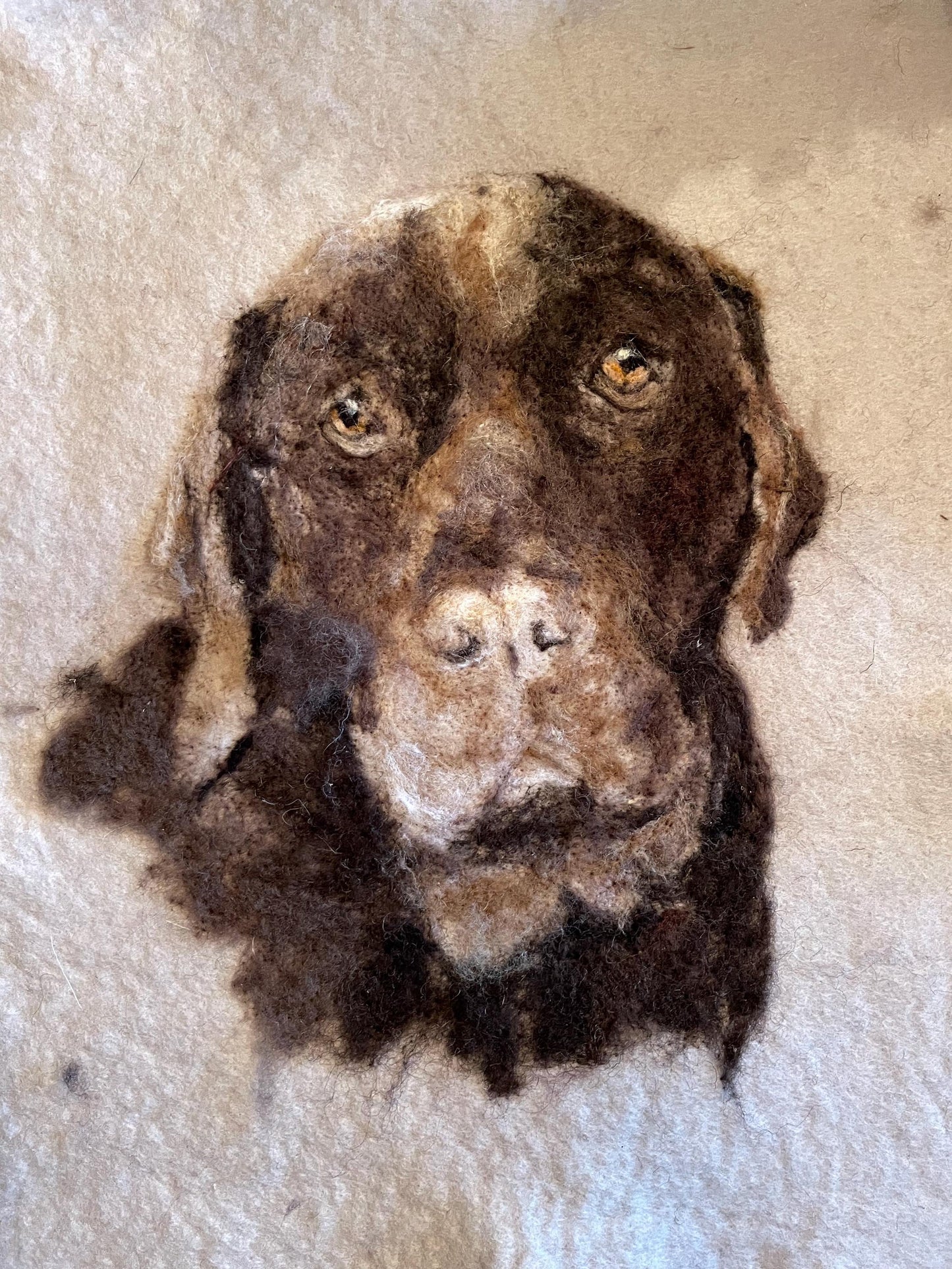 Custom Felted Portrait of Your Pet, Needle Felted Picture